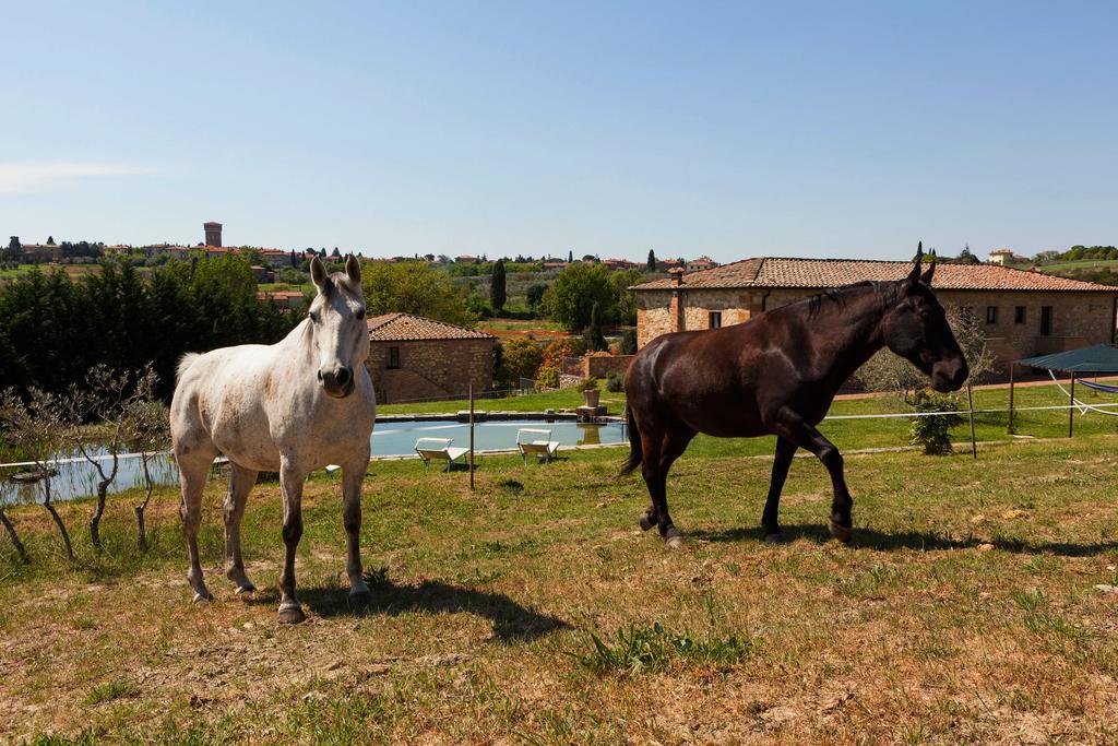 Agriturismo La Collina Pienza Exteriör bild